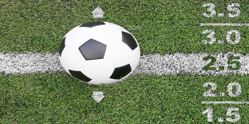 Cách xem, phân tích tỷ lệ kèo bóng đá hôm nay