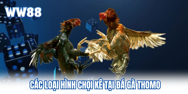 Các loại hình chọi kê tại đá gà Thomo