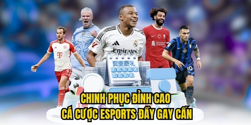 Chinh phục đỉnh cao cá cược esports đầy gay cấn